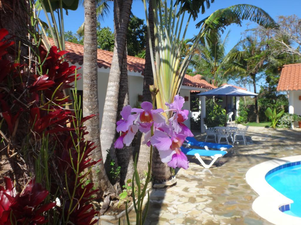 Garden By The Sea Bed & Breakfast Sosua Exterior photo